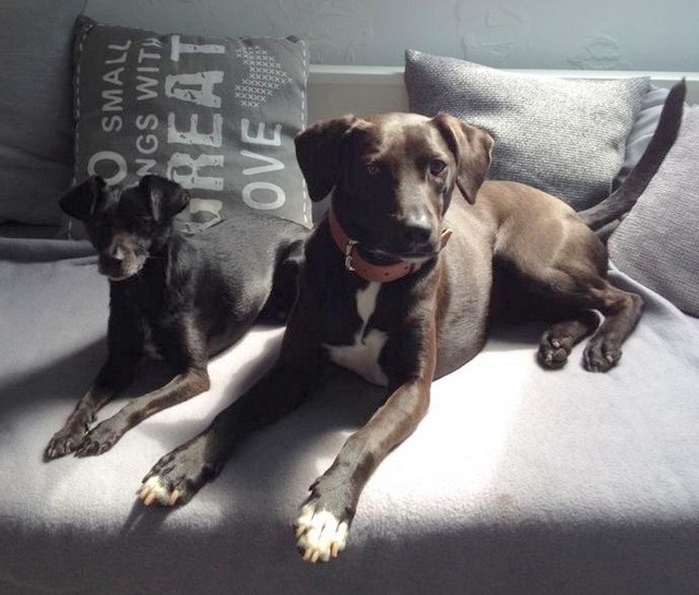 1 IMG 20181022 WA0005