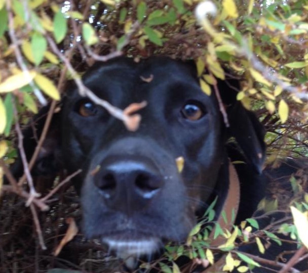 1 IMG 20181022 WA0008