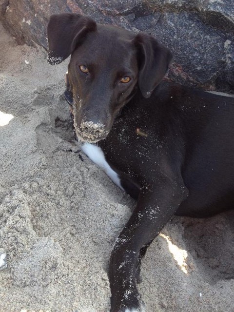 1 IMG 20181022 WA0010