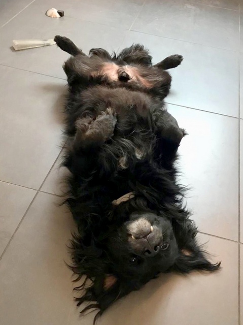 1 cid 2D4EE5AC BDD1 4F3C B1BB 9FE28E9871EA