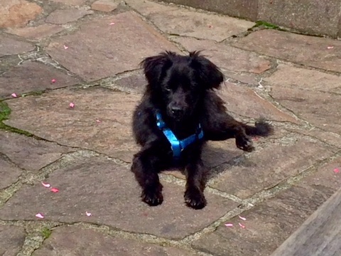 1 cid 4015CC72 C1BB 49C5 BB4D D17C1F3722BE