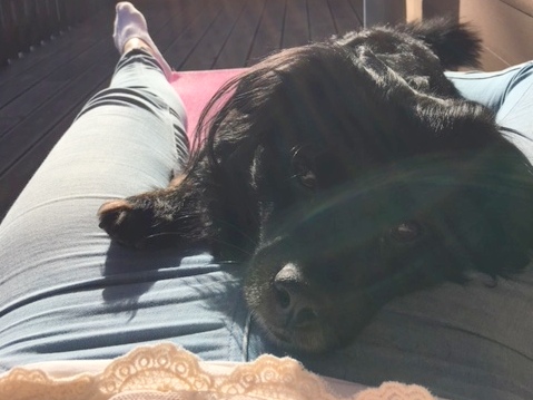 1 cid 5DE4FA8F DDBF 4691 B417 3B8295FABB8A