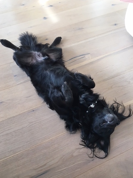 1 cid BEAB6D32 20C3 4F62 ABEC A96C070895E7