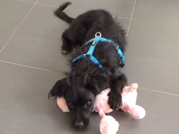 1 cid DFE63727 2DC0 4802 BBA1 39303CF30425 001