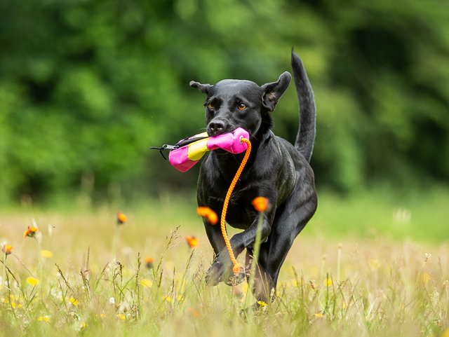 1 2019 08 01 23.44.04 1