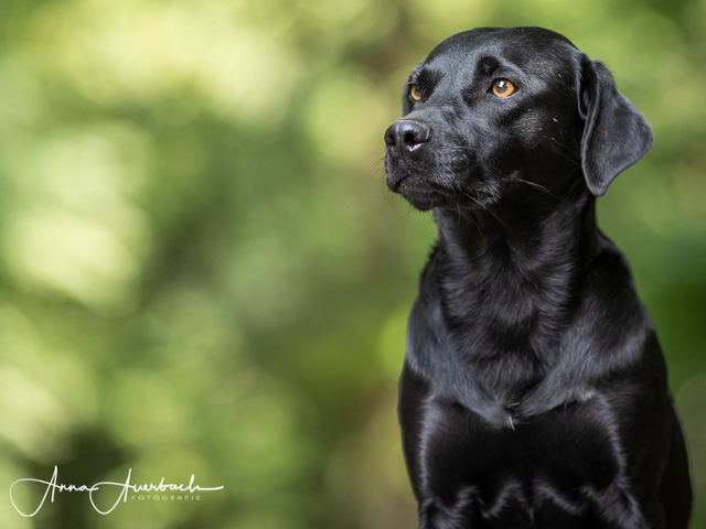 1 2019 08 01 23.44.08