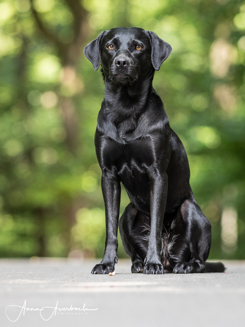 1 2019 08 01 23.44.12 2