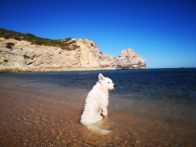 1 cid 3F177323 6D8B 46D3 8DDA E42D35410950wifi