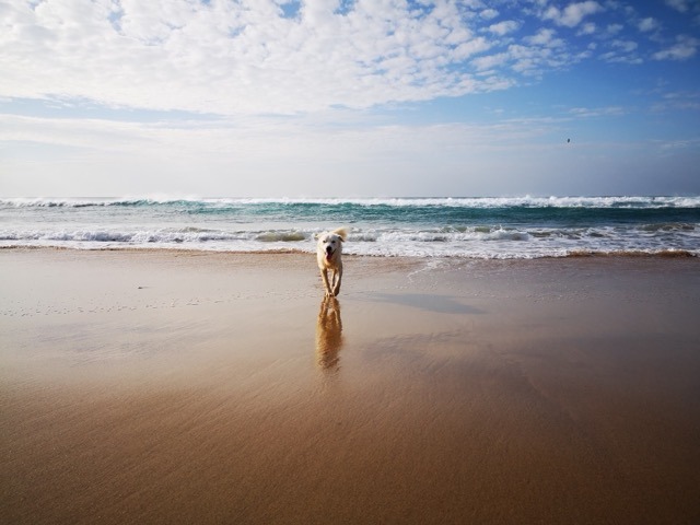 1 cid 7785C0A7 4B37 454B 96EA 8F5FC83BF07Awifi