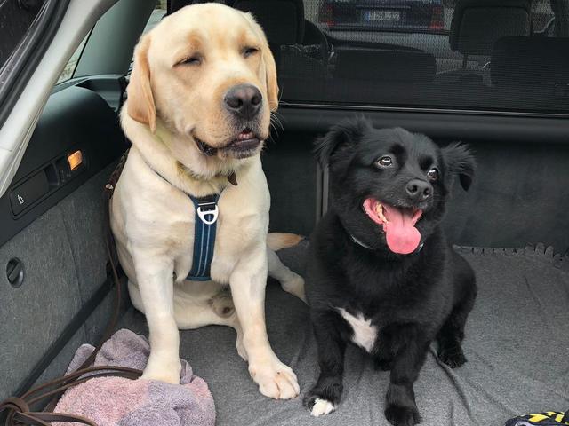 1 6a259b38 d81d 492c 89cb 5b4951ca49ad