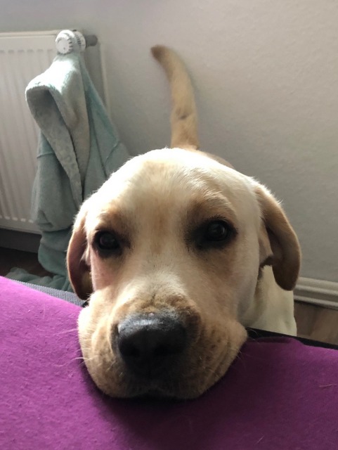 1 cid 1BD7EDDE F01F 42FF B9B8 288B49E2D698