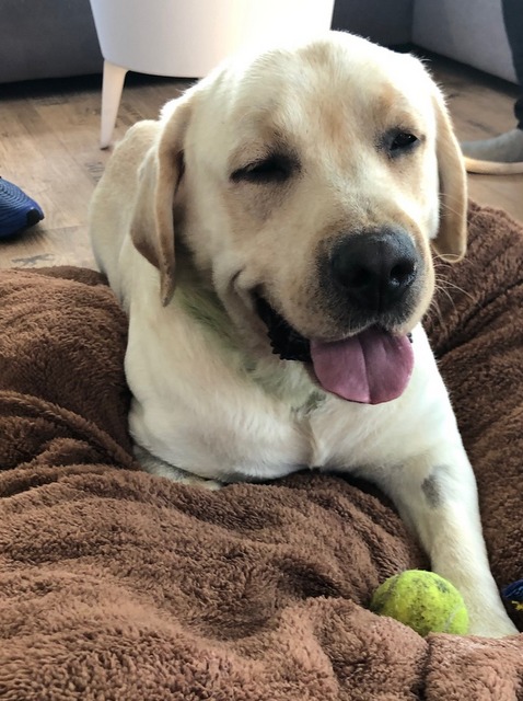 1 cid 5EA49E6B BCEC 48A2 8C9A B26B7402FE0C