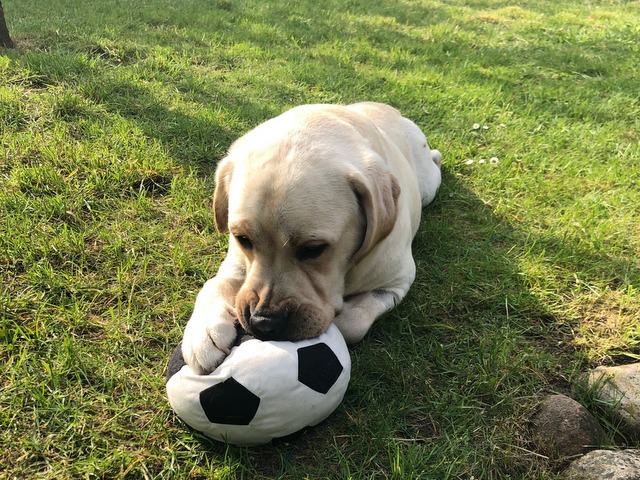 1 cid BF679807 7956 4EB4 8DA3 50BBFC984A9C