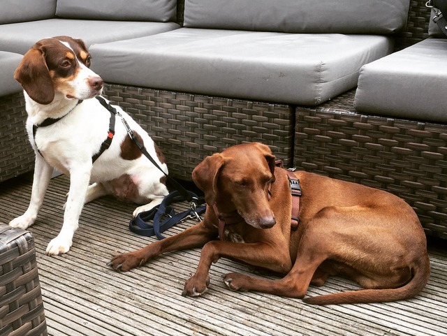 1 1CE1DB4A 2977 4F48 8EAC 671B7D36DFBC