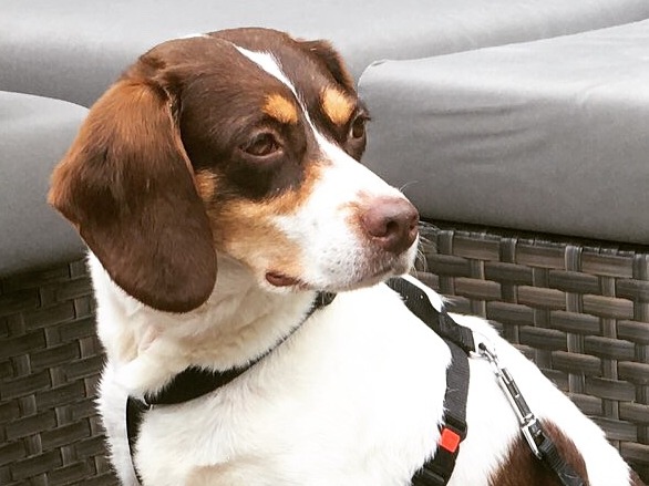 1 1CE1DB4A 2977 4F48 8EAC 672