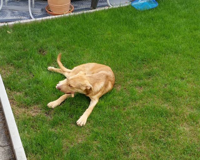 1 IMG 20180826 WA0016