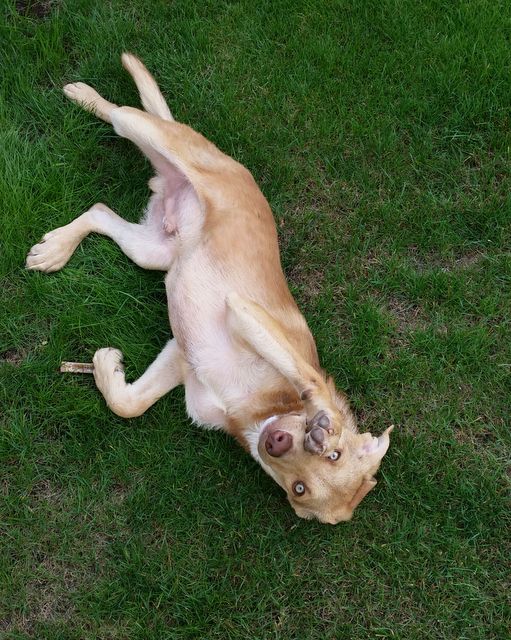 1 IMG 20180826 WA0018