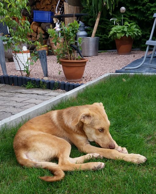 1 IMG 20180826 WA0020