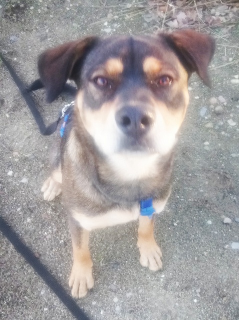 1 IMG 20181028 163959 693