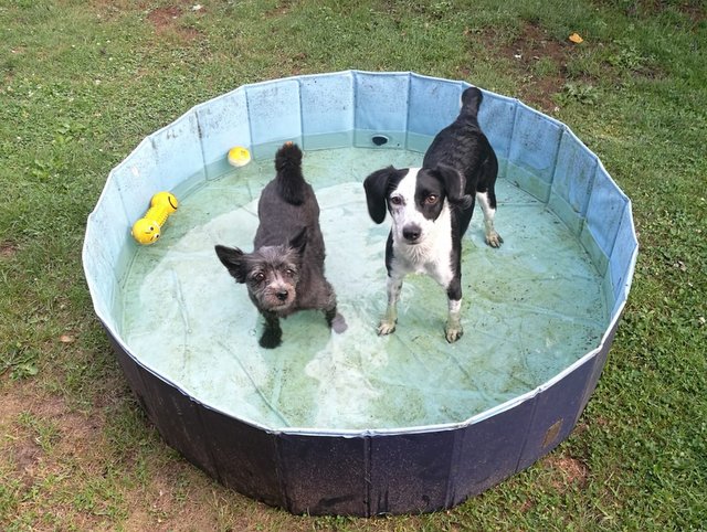 1 0A7AD61F 0E52 4E93 A357 D5DBA6F5166C