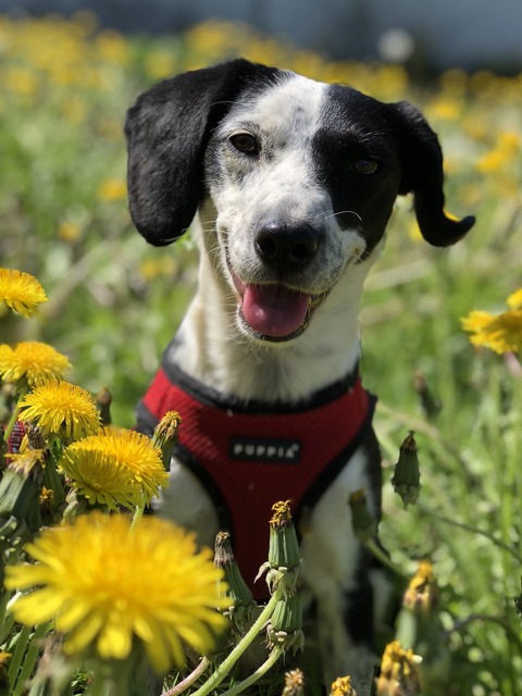 1 196076F0 8DCC 4801 A500 9A70293A8443