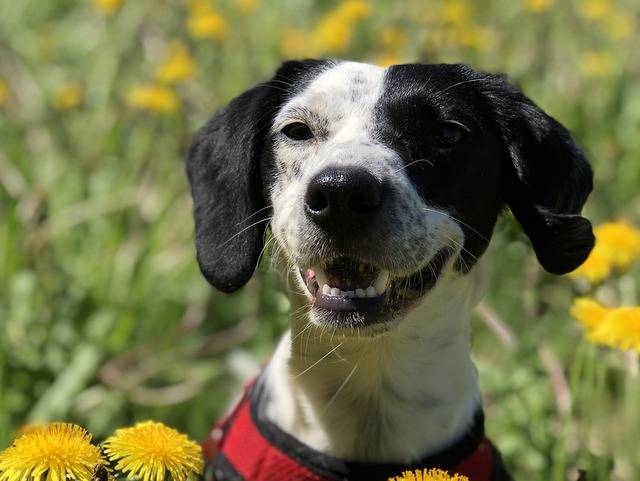 1 6D4CC76E 5281 4F8E A362 0D7652047A28