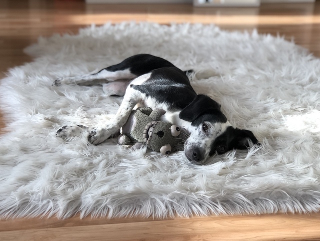 1 F12C0496 1025 4870 A8A6 0A633642D744