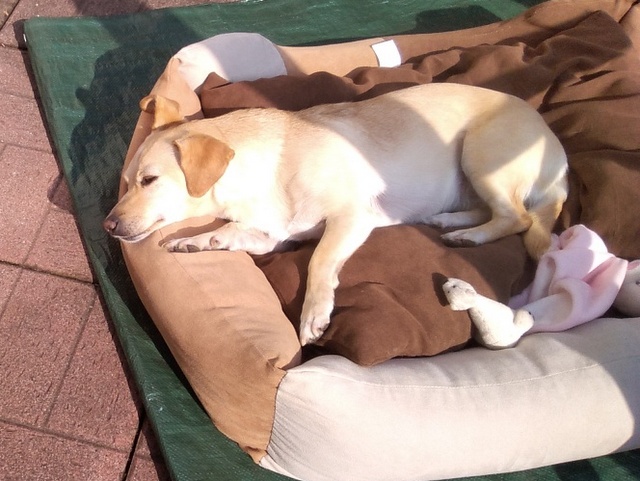 1 IMG 20180325 114059 resized 20190928 084623627