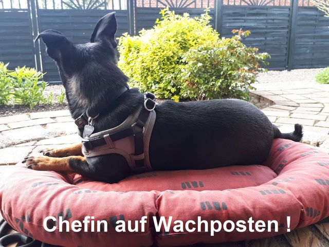 1 006 03 Chefin auf dem Wachposten Groß