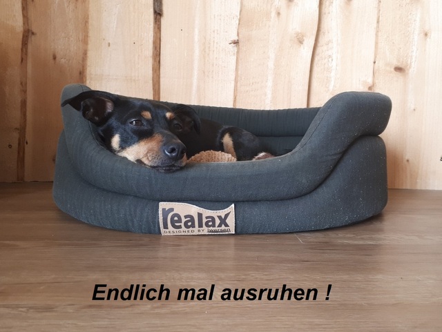 1 007 01 endlich ausruhen Groß