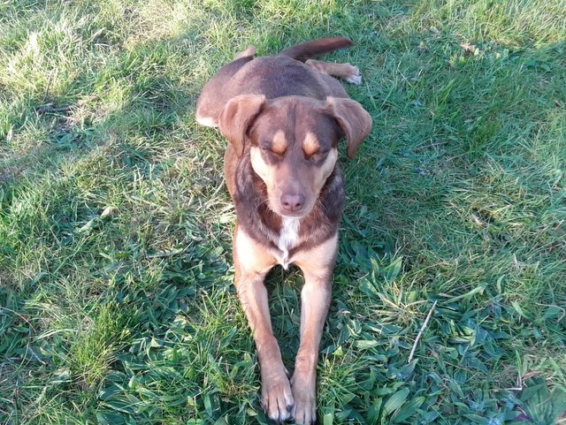 1 IMG 20190420 WA0004