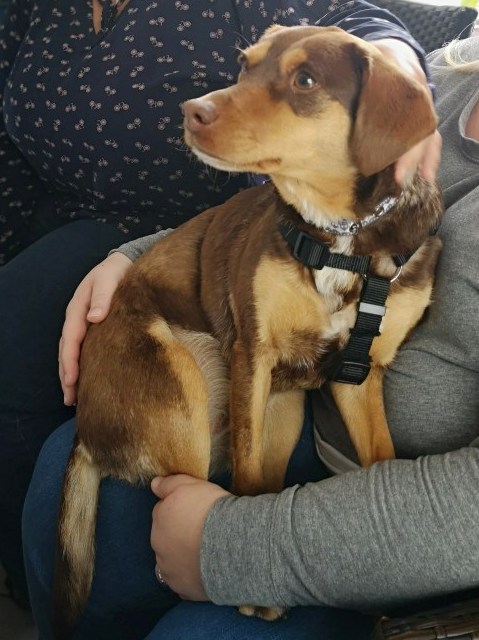 1 ersterFamilienBesuch