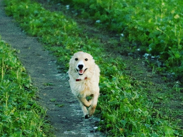 1 IMG 20190124 131147 288