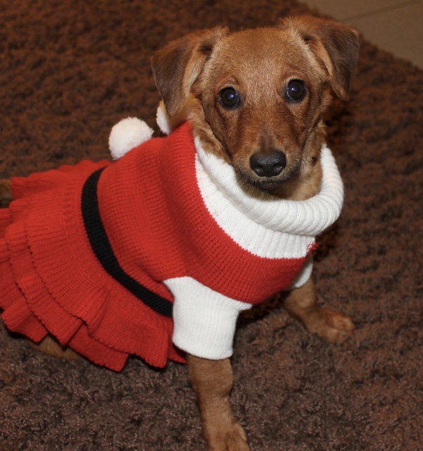 1 cid 6wmL9xuxntriyhRwV8K0