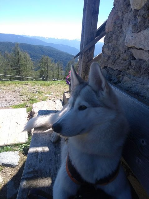 1 IMG 20180827 143622842 1