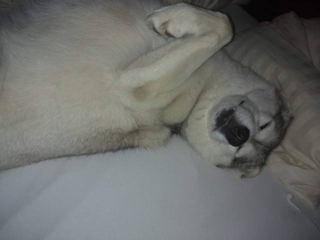 1 IMG 20180901 080039724