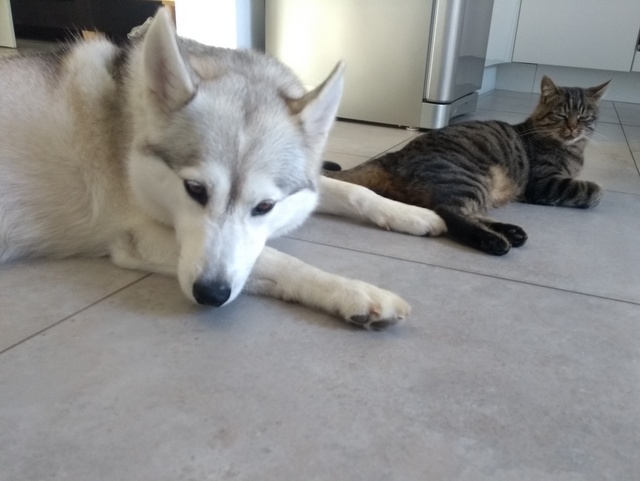 1 IMG 20181006 152122362 2