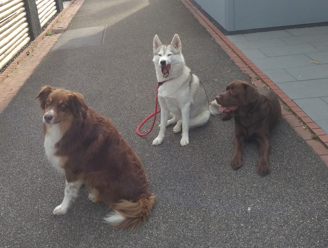 1 IMG 20181107 115753168 1