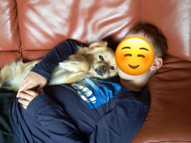 1 PHOTO 2019 11 24 17 34 10