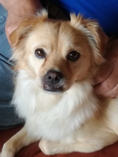 1 cid 1568481986390 2395222 b6caa0fb3a51c0b08bd273b4609e4575bcd952f3spica telekom