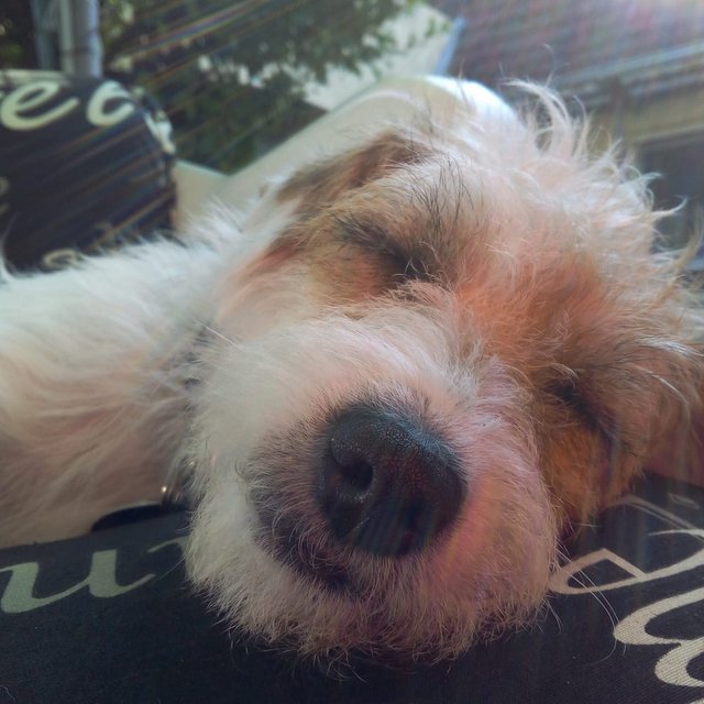 1 Ein Sonnenbad nach getaner Arbeit