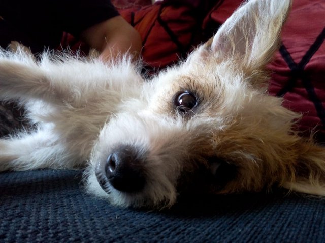 1 WhatsApp Image 2018 08 06 at 14.16.02