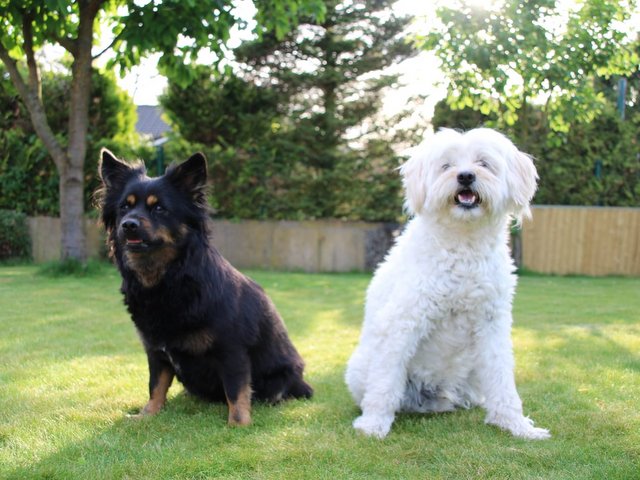 1 1aa06058 ac78 4e5a 981a 4edf21f395e9