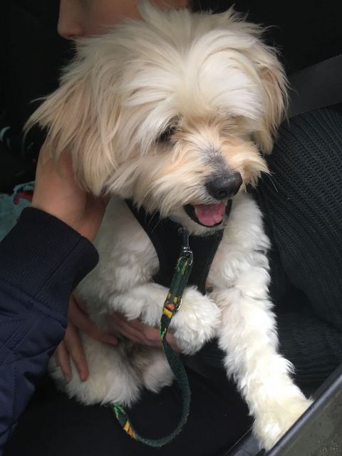 1 3e20879e 0513 46b4 9d93 e2b4ff237abb