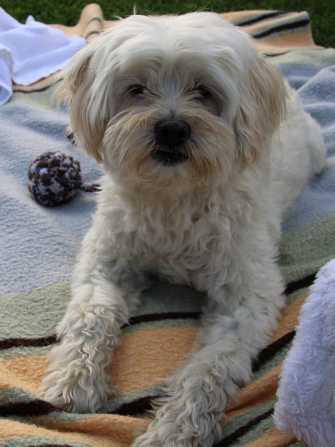 1 46cd056e e8a0 4a54 9943 40f355569def