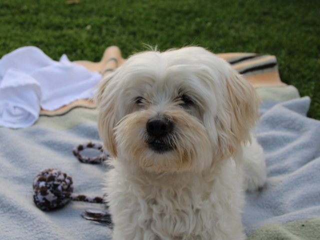 1 4fb9d34e 7f77 4b23 9aaf cb3963bbf855