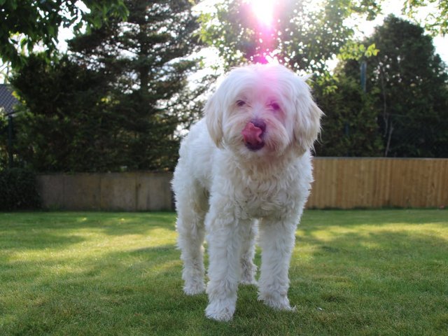 1 69ad2705 301b 408f a265 a14274348dc2