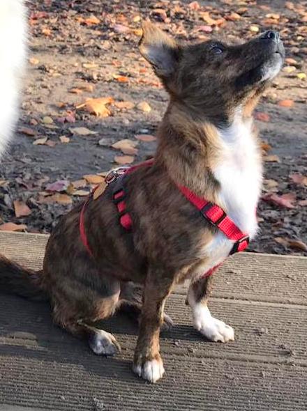 1 d1247dae cd09 4781 b965 717f171463cf