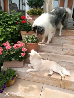 cid 0EB0C1A5 23B5 4FF8 AF07 39B0A65158F8fritz