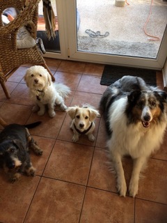 cid 68D50517 FD79 49EA B691 40A272D9F52Cfritz